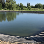 Tranques: cómo asegurar tu agua cuando no hay turnos ni presión