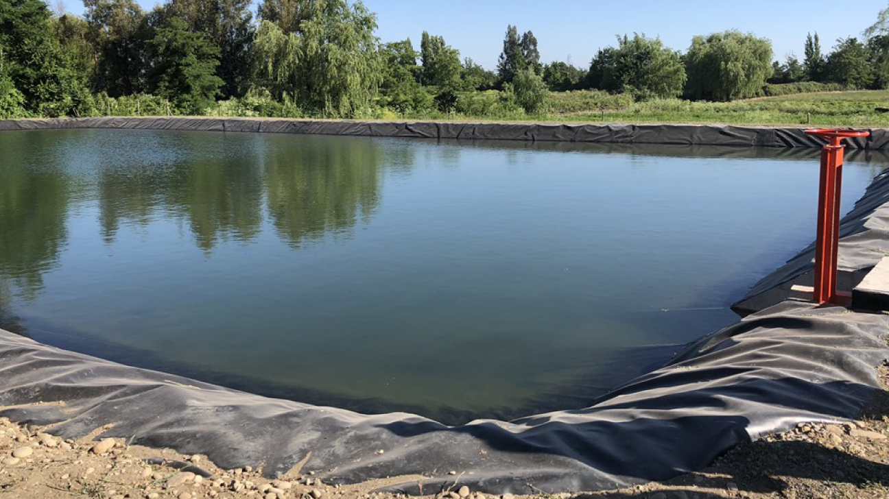 Tranques: cómo asegurar tu agua cuando no hay turnos ni presión