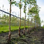 Agua segura: el nuevo factor que determina el valor de un campo