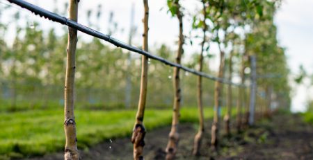 Agua segura: el nuevo factor que determina el valor de un campo