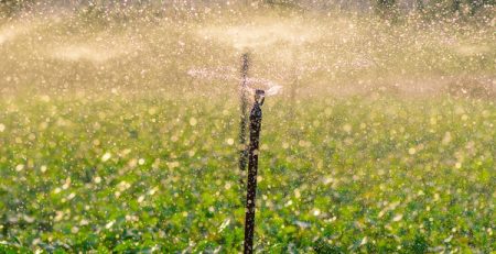 Pozos profundos: la inversión que asegura el riego en tiempos de escasez