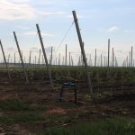Tranques de acumulación: una solución estratégica para gestionar el agua en el campo