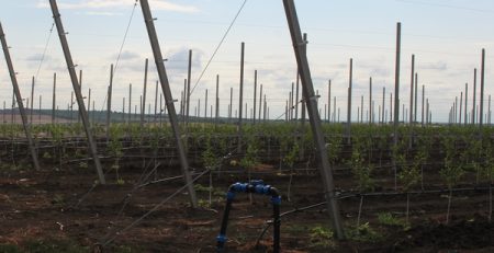 Tranques de acumulación: una solución estratégica para gestionar el agua en el campo