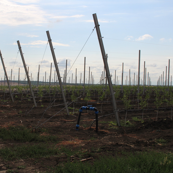 Tranques de acumulación: una solución estratégica para gestionar el agua en el campo