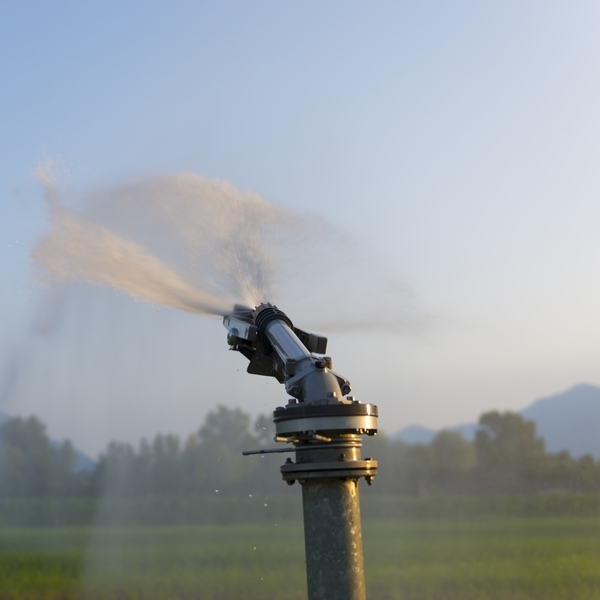 Asegurar el agua hoy: la decisión que define el futuro del campo